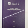 University of Bristol (www.helixbinders.co.uk)<br/><a href="gallery/thesis-binding/864/add/#comments">Add comment</a>