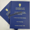 University of Liverpool (www.helixbinders.co.uk)<br/><a href="gallery/thesis-binding/993/add/#comments">Add comment</a>